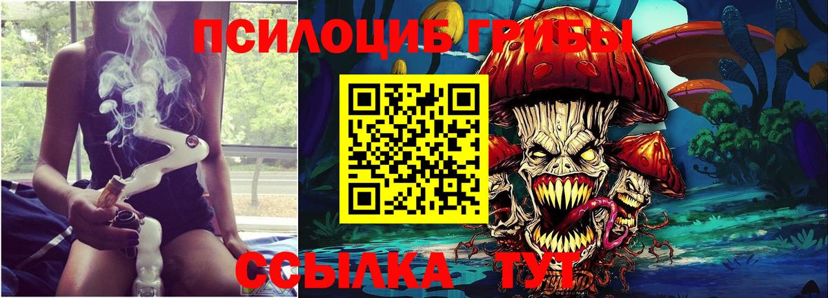 где купить наркотик  Псилоцибиновые грибы прущие грибы  Псилоцибиновые грибы Cubensis  Вход с VPN  Новодвинск 
