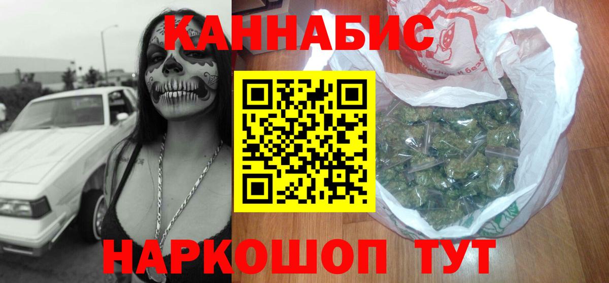Бошки Шишки план Новодвинск